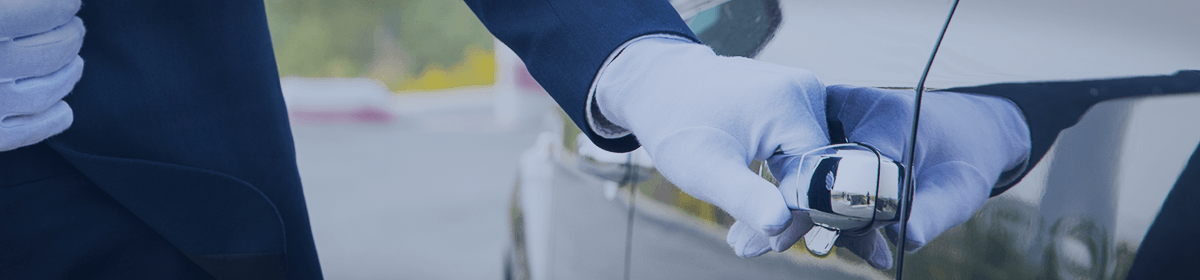 环岛中港通跨境专车